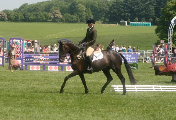 On Stage, Burghley Young Event Horse Championships -11th