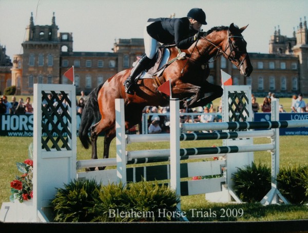 Blenheim Show Jumping 2009