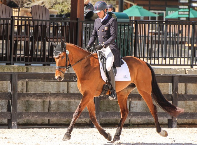 Boyd Martin and On Cue Dressage