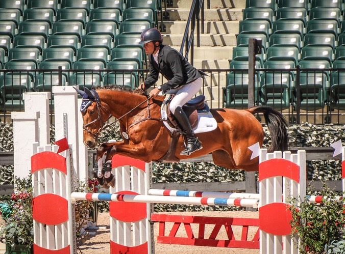 Boyd Martin and On Cue SJ