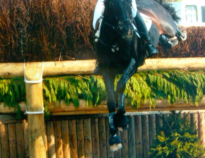 Chatsworth Advanced 2008 Clear XC