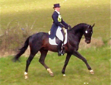 Dressage Burnham Market