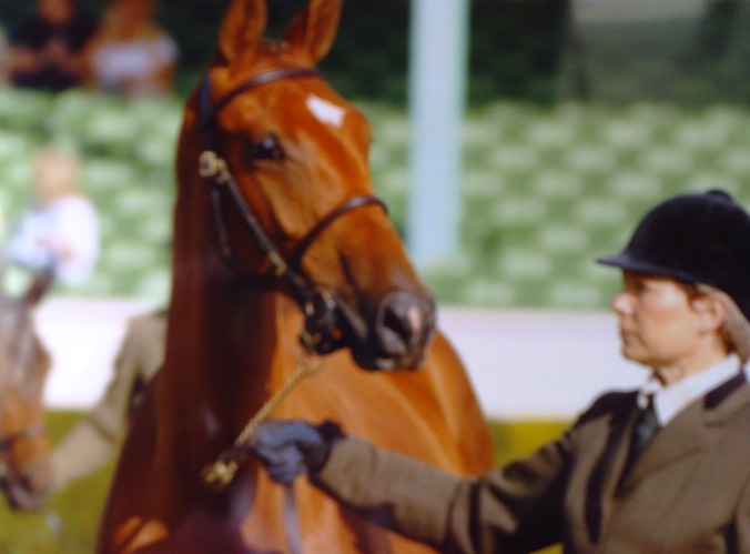 Great Yorkshire Show