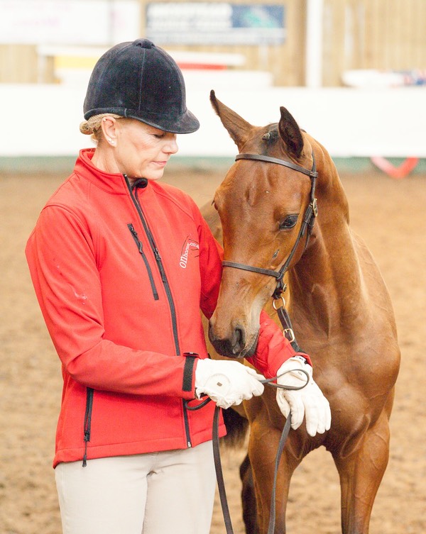 Good Mates! At BEF Futurity