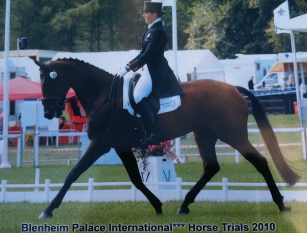 Blenheim Dressage 2010