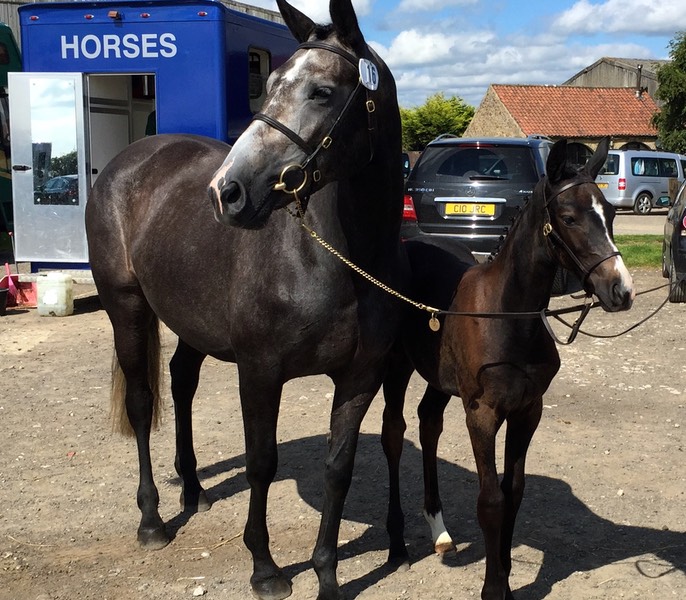 On n Over with her filly foal “On n On"