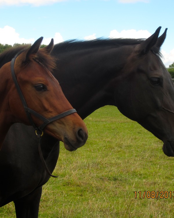 On a Breeze with mum, ISHD On a Promise