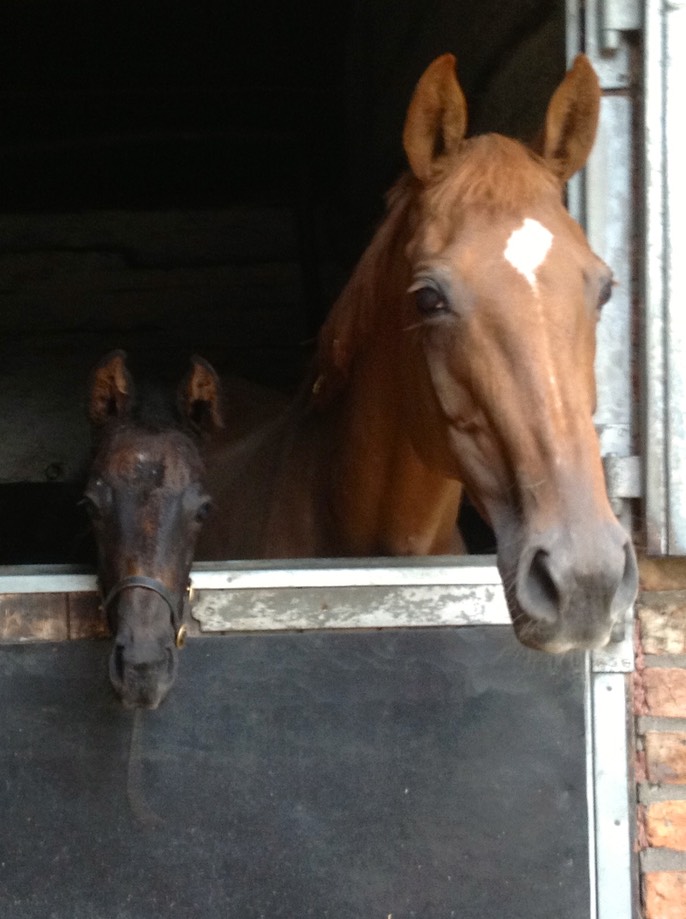 Headshot with Mum On Fire