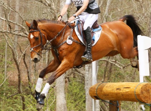 Boyd Martin & On Cue XC