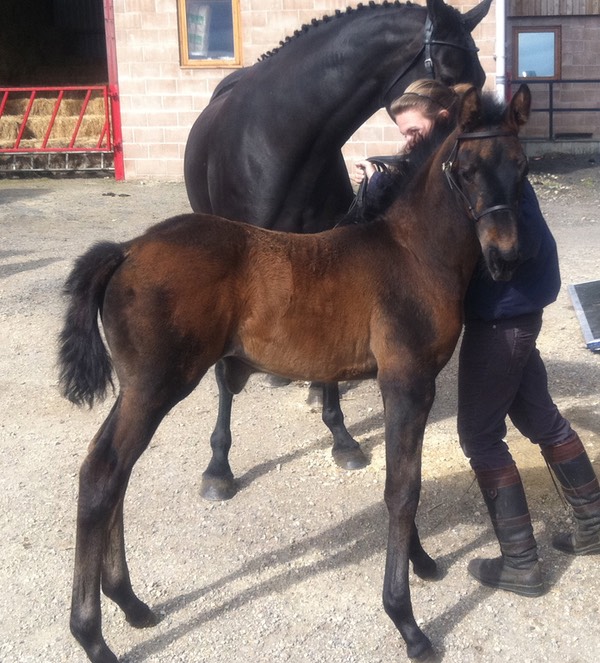 Durham 20th September 2012