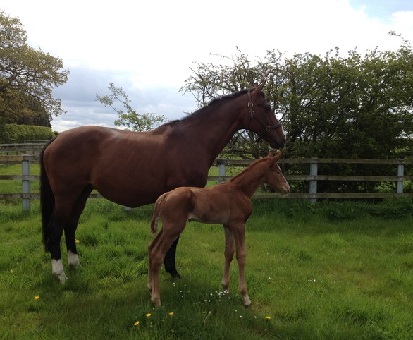 On Safari, 1 Day Old