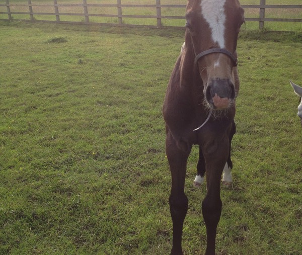 1 Month Old - 14th June 2012