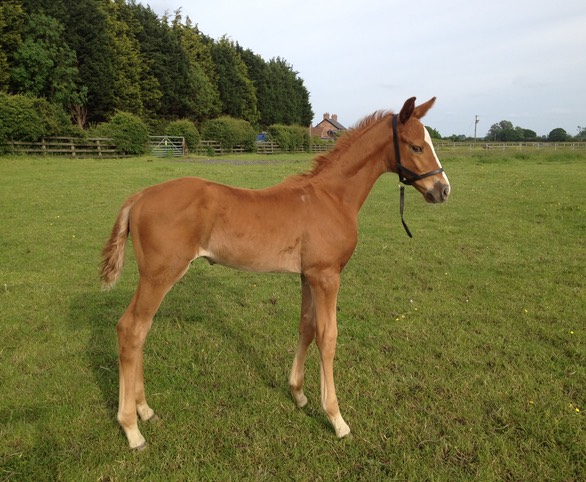 On Safari, 1 month old