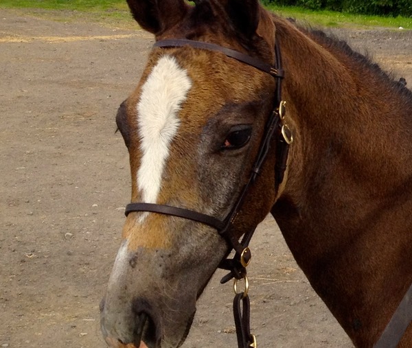 Look at Me! 14th June 2012