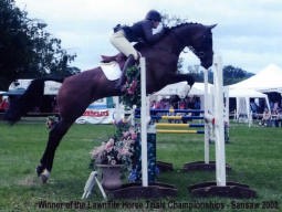 Winning at the Pony Club Championships