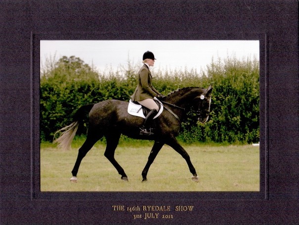 Qualifying for Burghley at Ryedale 4 Year Old Young Event Horse