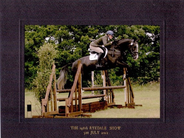 Qualifying for Burghley at Ryedale 4 Year Old Young Event Horse